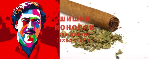 спайс Дмитриев