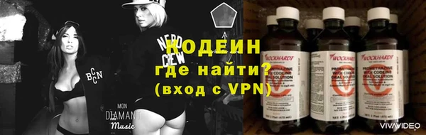 2c-b Гусев