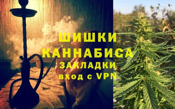 2c-b Гусев